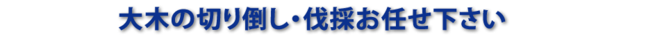 公共工事施工実績