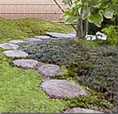 坪庭アプローチ 例1